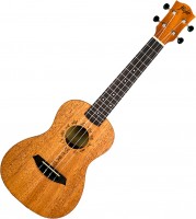 Купить гитара Flight DUC-373  по цене от 3824 грн.