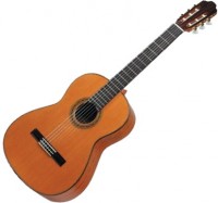 Купити гітара Esteve 7SM CD за ціною від 52049 грн.