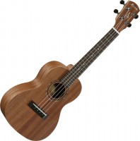 Купить гитара Alvarez RU22C  по цене от 3978 грн.