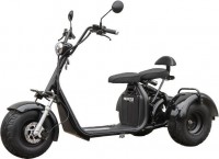 Купить электротранспорт Maxxter Trike: цена от 63999 грн.