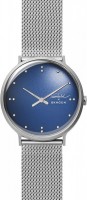 Купити наручний годинник Skagen SKW6584  за ціною від 6120 грн.