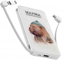 Купить powerbank ZIZ Walrus 10000: цена от 1650 грн.