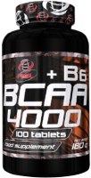 описание, цены на ASL BCAA 4000 plus B6