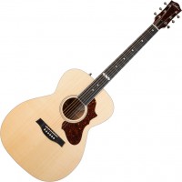 Купити гітара Godin Fairmount Concert Hall EQ за ціною від 67517 грн.