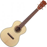 Купить гитара Prima M310T: цена от 3460 грн.
