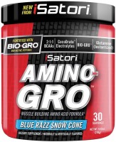 Купити амінокислоти iSatori Amino-Gro (270 g) за ціною від 1035 грн.