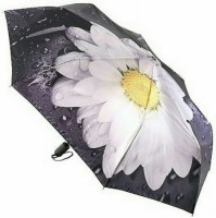 Купить зонт Trust 30471: цена от 1282 грн.