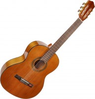Купить гитара Salvador Cortez CC-08  по цене от 5771 грн.