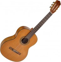 Купить гитара Salvador Cortez CC-06  по цене от 9240 грн.