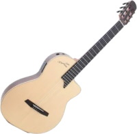 Купить гитара Prudencio Saez Prudencio Stage: цена от 48560 грн.