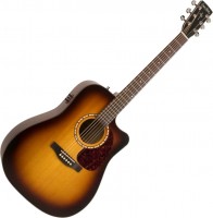 Купить гітара Simon & Patrick Songsmith CW EQ: цена от 35281 грн.