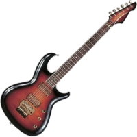 Купить гитара J&D JD-STAR2  по цене от 10269 грн.