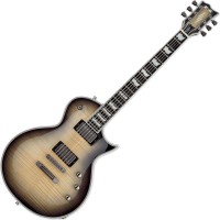 Купить електрогітара / бас-гітара ESP E-II Eclipse FT: цена от 174999 грн.