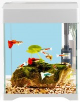 Купити акваріум SunSun AT (250D) за ціною від 1650 грн.
