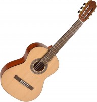 Купить гитара Salvador Cortez CS-234  по цене от 5493 грн.