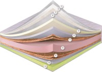 Купити матрац Dz-Mattress Swiss Night Delemon (120x190) за ціною від 18190 грн.