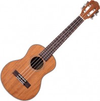 Купить гітара Prima M381T: цена от 5150 грн.