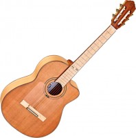 Купить гітара Ortega RCE179: цена от 25494 грн.