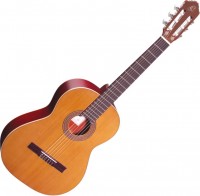 Купити гітара Ortega R200  за ціною від 38808 грн.