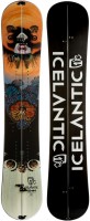 Купить лыжи Icelantic Gemini Splitboard 161 (2014/2015): цена от 31050 грн.