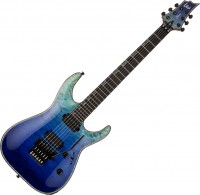 Купить електрогітара / бас-гітара LTD H-1001FR: цена от 61462 грн.
