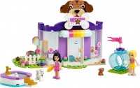 Купить конструктор Lego Doggy Day Care 41691  по цене от 1999 грн.