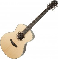 Купить гитара Furch Green G-Sr 2019: цена от 79068 грн.