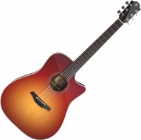 Купити гітара Furch Green Dc-Sr Sunburst L.R. Baggs Spe  за ціною від 86604 грн.