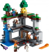 Купити конструктор Lego The First Adventure 21169  за ціною від 4499 грн.