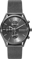 Купити наручний годинник Skagen SKW6608  за ціною від 7995 грн.