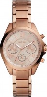 Купити наручний годинник FOSSIL BQ3036  за ціною від 6190 грн.