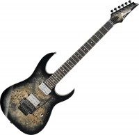 Купити електрогітара / бас-гітара Ibanez RG1120PBZ  за ціною від 56451 грн.