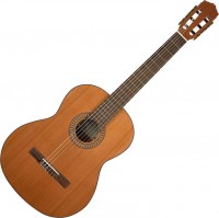 Купить гитара Salvador Cortez CC-22: цена от 15294 грн.
