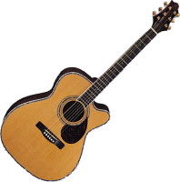 Купить гитара Samick OM8CE  по цене от 24760 грн.
