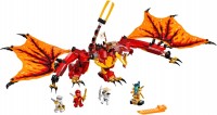 Купить конструктор Lego Fire Dragon Attack 71753  по цене от 3799 грн.