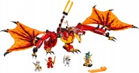 Купить конструктор Lego Fire Dragon Attack 71753: цена от 4199 грн.