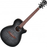 Купить гітара Ibanez AEG70: цена от 21999 грн.