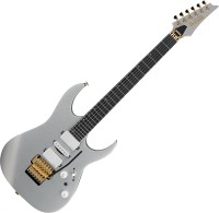 Купить електрогітара / бас-гітара Ibanez RG5170G: цена от 104999 грн.