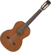 Купити гітара ARIA A-20  за ціною від 9348 грн.