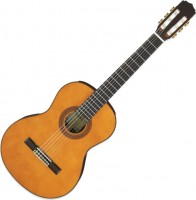 Купити гітара ARIA A-30S  за ціною від 11070 грн.