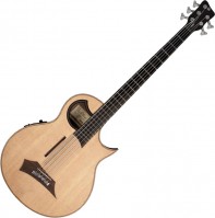 Купить гітара Warwick Alien 5-String: цена от 98238 грн.