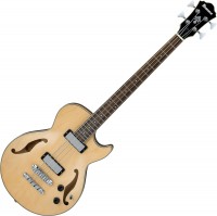 Купить гитара Ibanez AGB200: цена от 25174 грн.