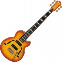 Купити електрогітара / бас-гітара Ibanez TCB1006  за ціною від 471320 грн.