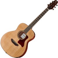 Купить гитара Harley Benton Custom Line CLGS-10S Travel  по цене от 9499 грн.