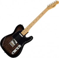 Купить гитара Harley Benton TE-70 Black Paisly  по цене от 10999 грн.