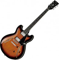Купить електрогітара / бас-гітара Harley Benton HB-35: цена от 12999 грн.