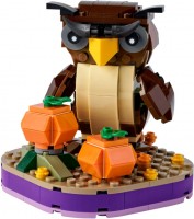 Купить конструктор Lego Halloween Owl 40497  по цене от 1499 грн.