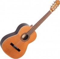 Купить гітара Ortega R190: цена от 25295 грн.