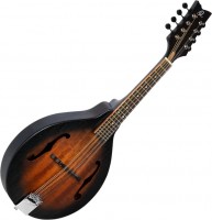 Купить гитара Ortega RMA5VS: цена от 11046 грн.