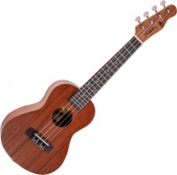 Купить гитара Alfabeto Mahogany F  по цене от 3150 грн.